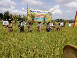 PANEN RAYA PADI SAWAH BULAK GEDAREN I 